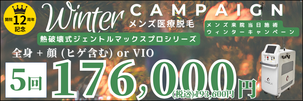 美容皮膚科アイエスクリニック メンズ医療脱毛 熱破壊式が全身+顔 or VIOで5回176,000円(税込193,600円)